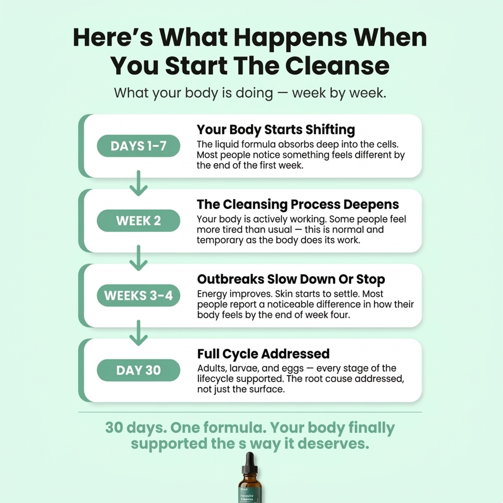 Ellora Parasite Cleanse