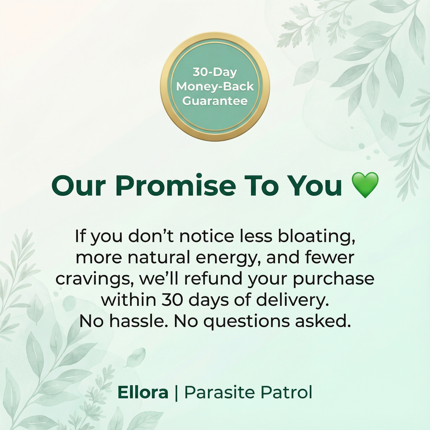 Ellora Parasite Cleanse