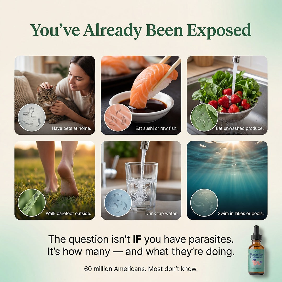 Ellora Parasite Cleanse