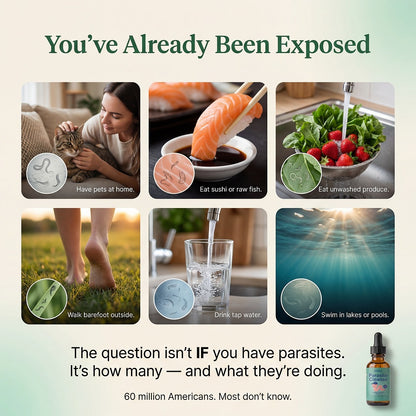 Ellora Parasite Cleanse