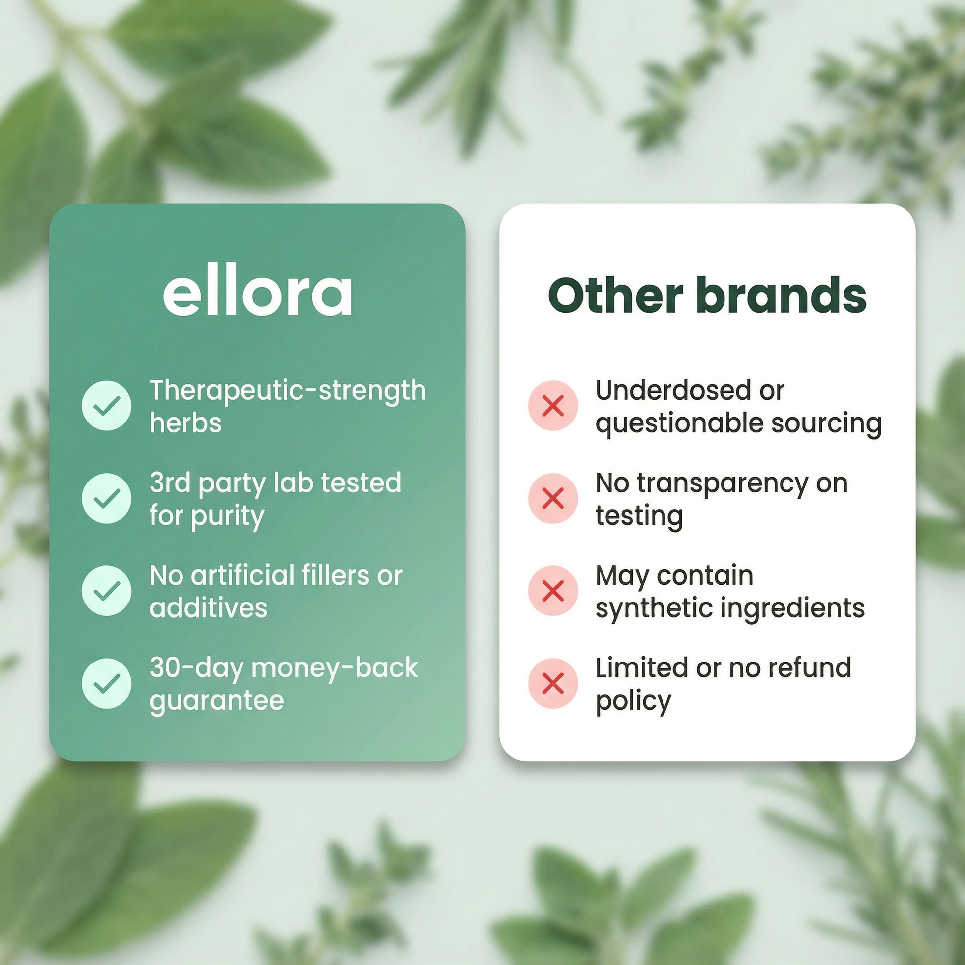 Ellora Parasite Cleanse