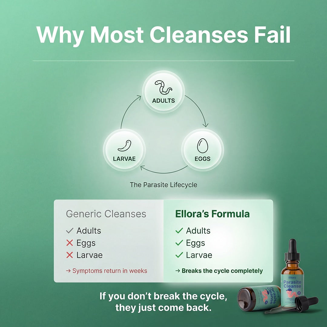 Ellora Parasite Cleanse