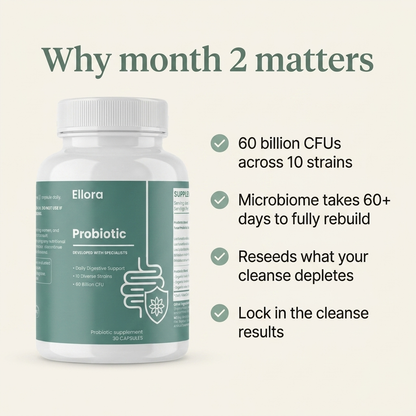 Gut Probiotic