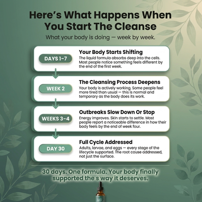 Ellora 2-Step Parasite Cleanse - SPANIHS