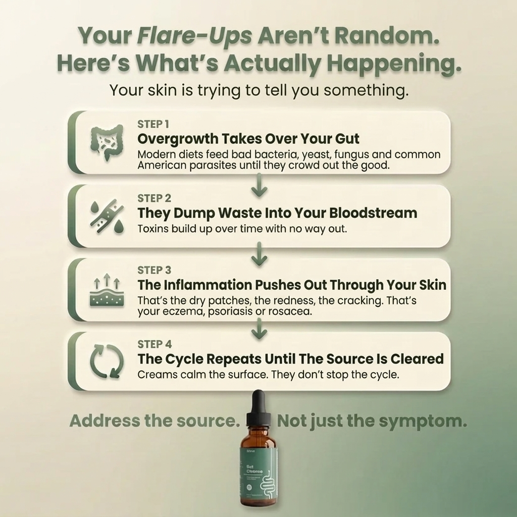Ellora 2-Step Parasite Cleanse